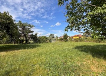 Terreno agricolo Strada Ca Bianca, Rivalta di Torino - foto 6