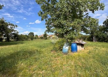 Terreno agricolo Strada Ca Bianca, Rivalta di Torino - foto 11