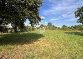 Terreno agricolo Strada Ca Bianca, Rivalta di Torino - foto 14