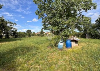 Terreno agricolo Strada Ca Bianca, Rivalta di Torino - foto 16