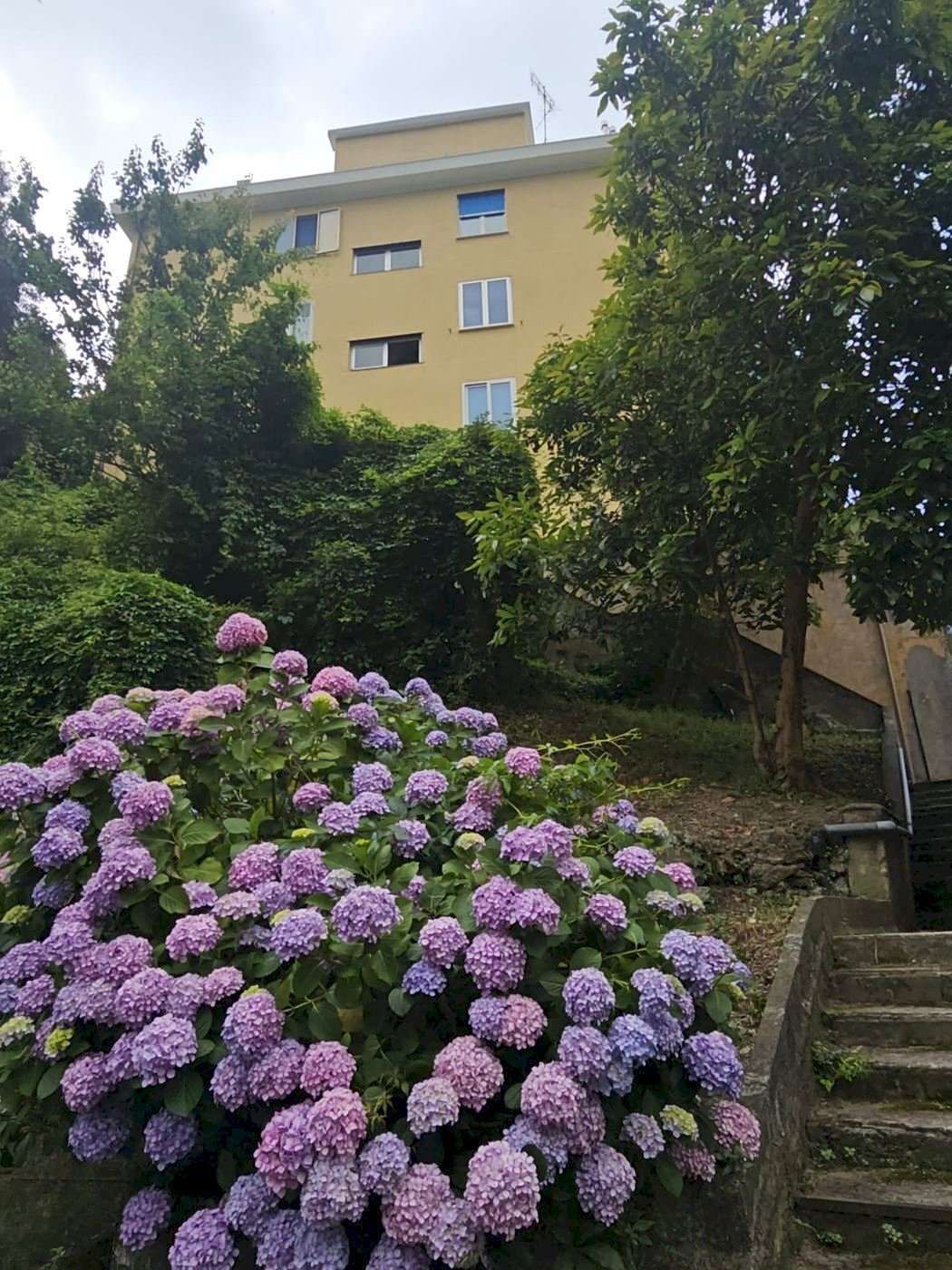 Quadrilocale VIA SORGENTI SULFUREE, Genova (zona Prà) - foto 1