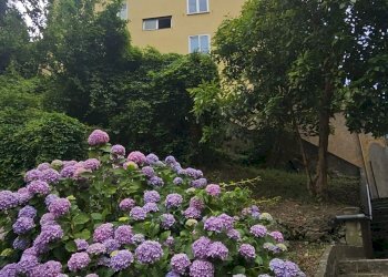 Quadrilocale VIA SORGENTI SULFUREE, Genova (zona Prà) - foto 1
