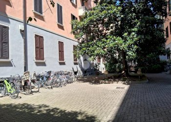 Trilocale Via Ercole Ferrario, Milano (zona Washington) - foto 16