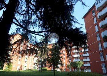 Bilocale Via Romualdo Bonfadini, Milano (zona Morsenchio) - foto 36