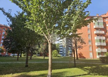 Two-room apartment Via Romualdo Bonfadini, Milano (neighborhood Morsenchio) - photo 44