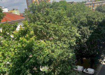 Two-room apartment via CONCA DEL NAVIGLIO 5, Milano (neighborhood Ticinese) - photo 20