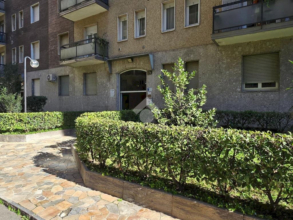 Trilocale Viale Romagna, Cinisello Balsamo - foto 1