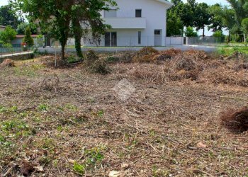 Terreno edificabile V. Ausa Vecchia, Forlimpopoli - foto 3