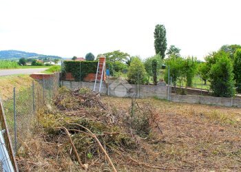 Terreno edificabile V. Ausa Vecchia, Forlimpopoli - foto 6