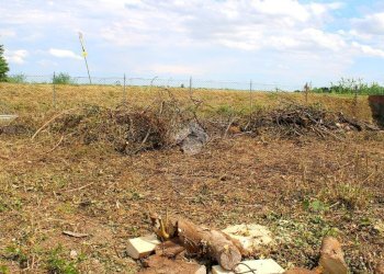 Terreno edificabile V. Ausa Vecchia, Forlimpopoli - foto 11