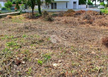 Terreno edificabile V. Ausa Vecchia, Forlimpopoli - foto 14