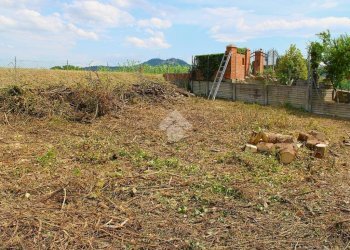 Terreno edificabile V. Ausa Vecchia, Forlimpopoli - foto 18
