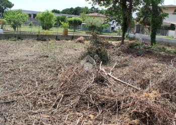 Terreno edificabile Via Ausa Vecchia, Forlimpopoli - foto 22