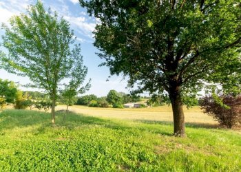 Casa indipendente Via Colma, Conzano - foto 4
