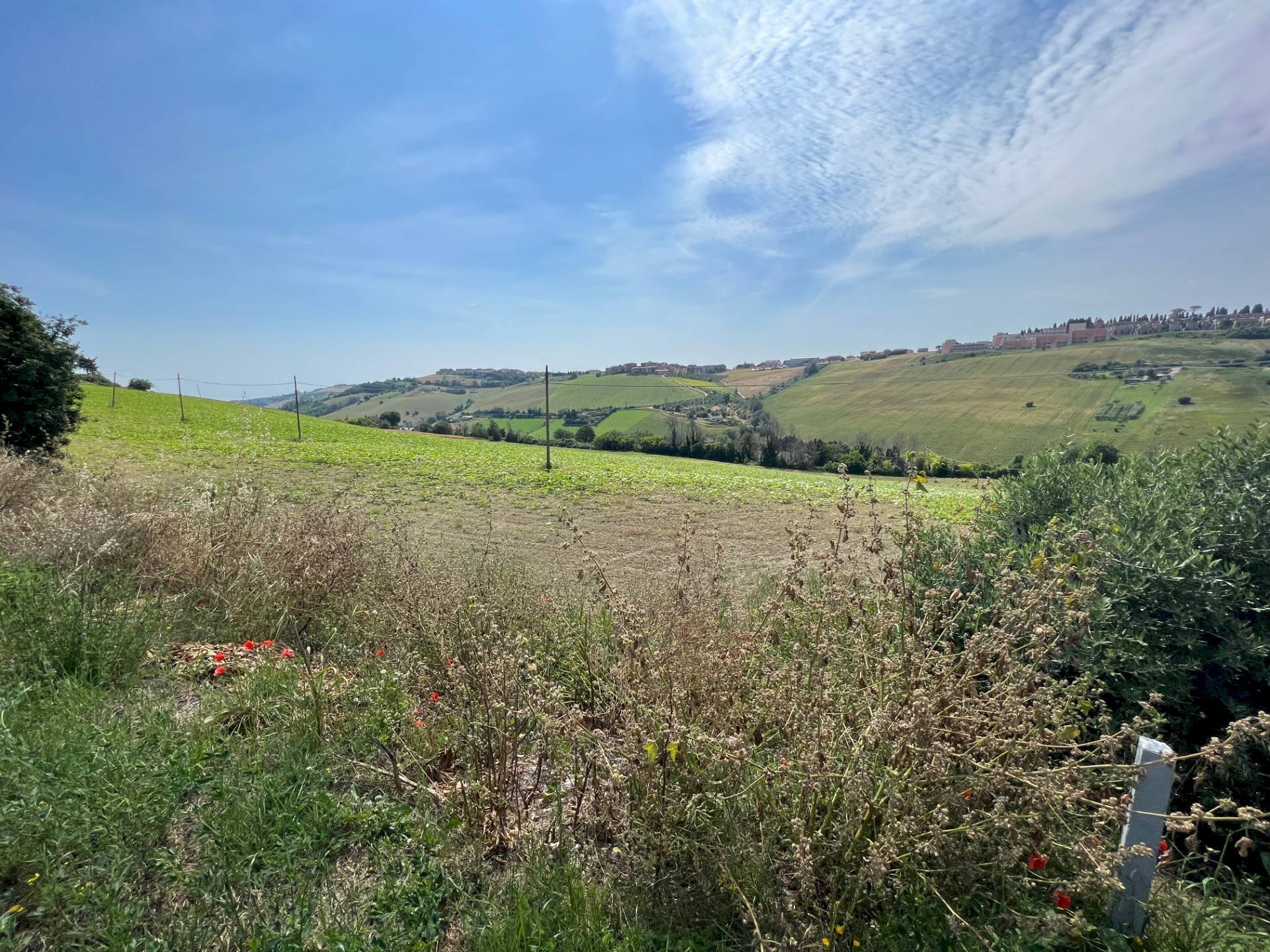 Foto 1 - Terreno edificabile Contrada Valle Oscura, Fermo - foto 1