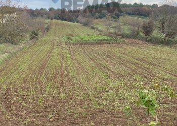Vista delle montagne - Baita Strada Pozzo Salerno, Martina Franca - foto 3