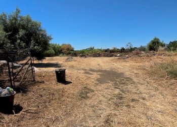 Vista delle montagne - Terreno agricolo Via Giuseppe Ungaretti
33, Giarre - foto 4