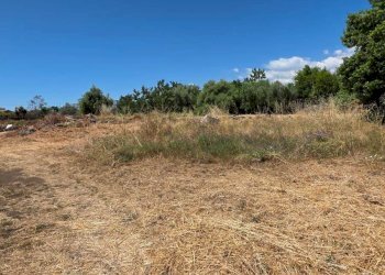 Vista delle montagne - Terreno agricolo Via Giuseppe Ungaretti
33, Giarre - foto 11