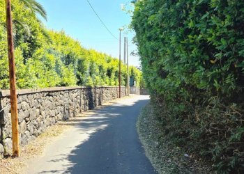 Non correlato - Terreno agricolo Via Giuseppe Ungaretti
33, Giarre - foto 38