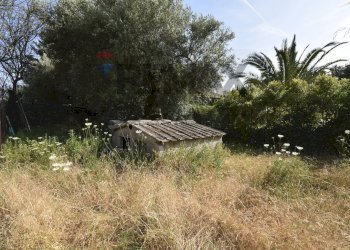 Giardino - Casa semi indipendente via treviso
 
24, Mascalucia - foto 10