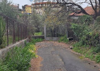 Giardino - Agricultural land Via Pompeo Vecchio
snc, Mascalucia - photo 5