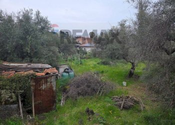 Giardino - Agricultural land Via Pompeo Vecchio
snc, Mascalucia - photo 7