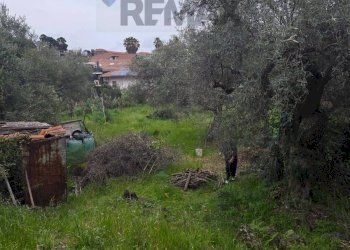 Giardino - Agricultural land Via Pompeo Vecchio
snc, Mascalucia - photo 8