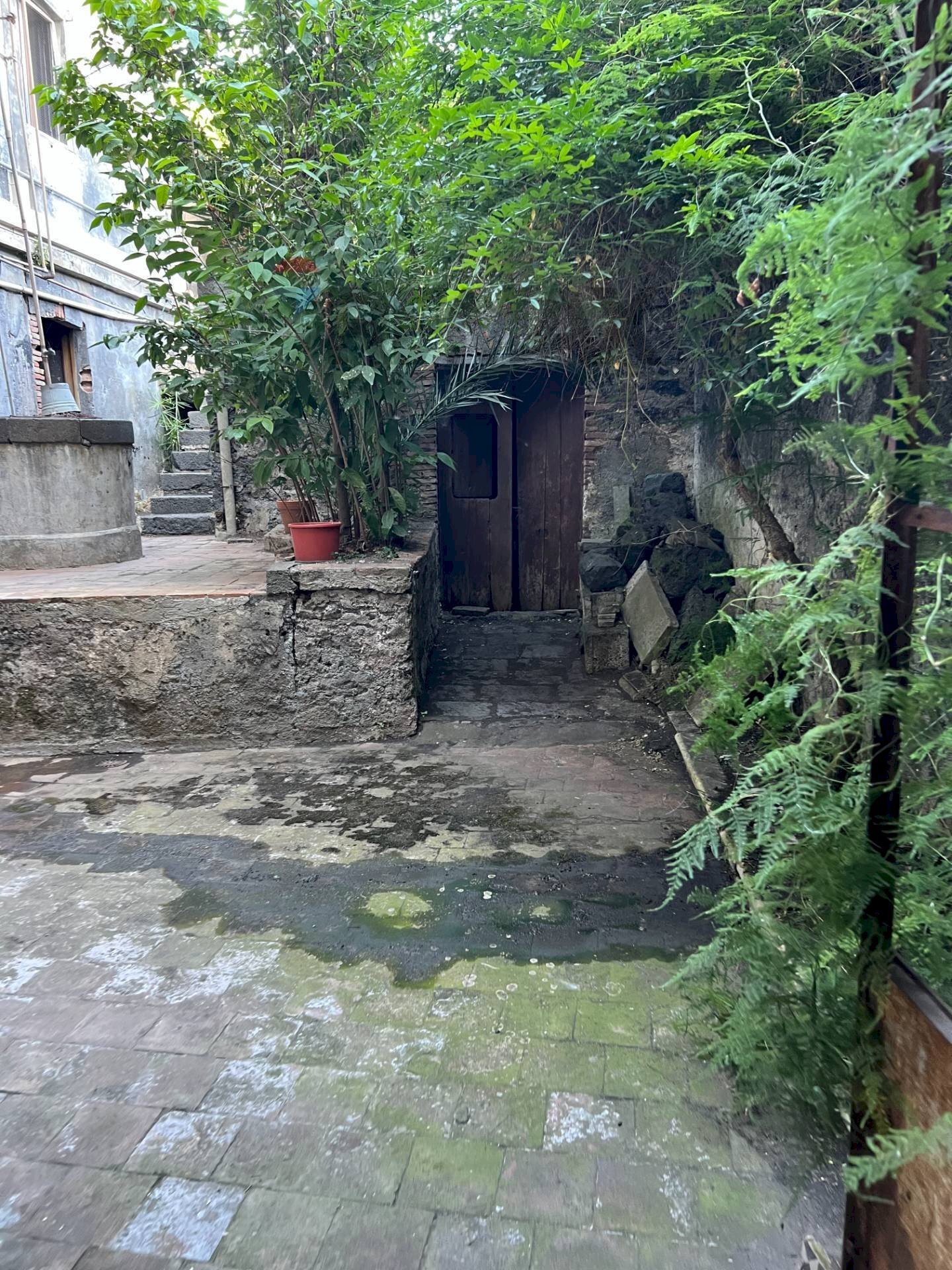 Giardino - Casa indipendente Via Vittorio Emanuele III
302, Belpasso - foto 2