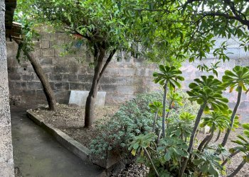 Giardino - Casa indipendente Via Vittorio Emanuele III
 
302, Belpasso - foto 36