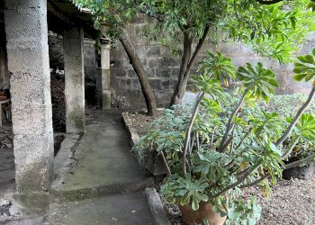 Giardino - Casa indipendente Via Vittorio Emanuele III
 
302, Belpasso - foto 37