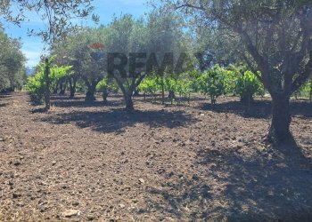 Giardino - Agricultural land contrada Contura, Castiglione di Sicilia - photo 25