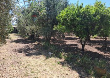 Giardino - Agricultural land contrada Contura, Castiglione di Sicilia - photo 35