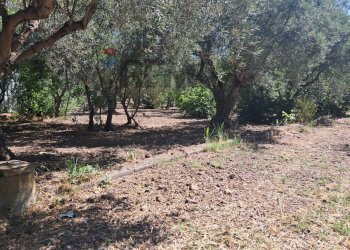 Giardino - Agricultural land contrada Contura, Castiglione di Sicilia - photo 37