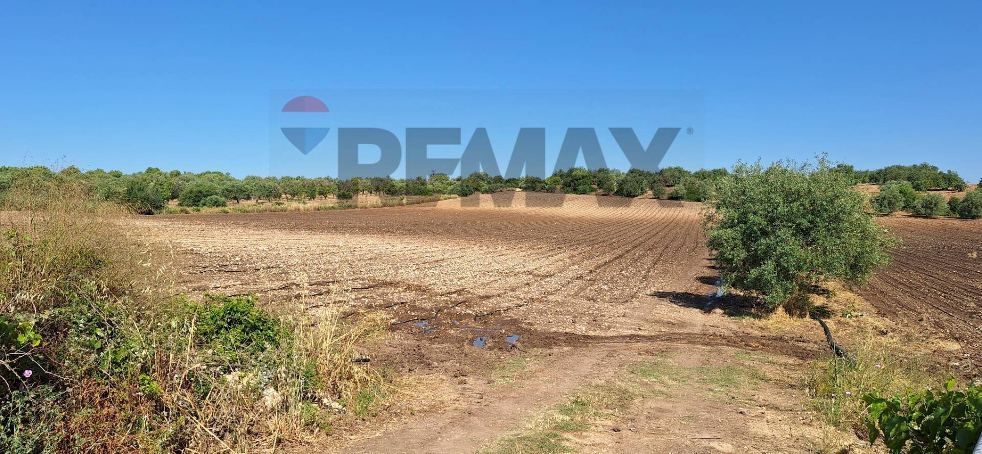 Giardino - Terreno agricolo Contrada Benuini
 
snc, Noto - foto 1