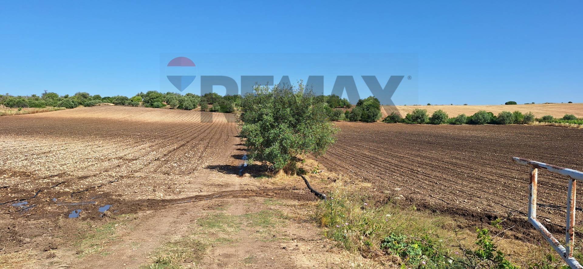 Giardino - Terreno agricolo Contrada Benuini
snc, Noto - foto 2