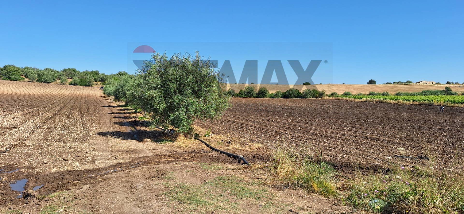 Giardino - Terreno agricolo Contrada Benuini
snc, Noto - foto 3