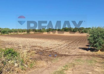 Giardino - Terreno agricolo Contrada Benuini
 
snc, Noto - foto 1