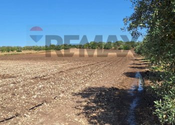 Vista dell\'acqua - Terreno agricolo Contrada Benuini
 
snc, Noto - foto 4