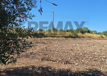 Vista delle montagne - Terreno agricolo Contrada Benuini
 
snc, Noto - foto 7