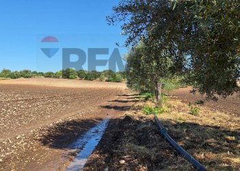 Vista dell\'acqua - Terreno agricolo Contrada Benuini
 
snc, Noto - foto 8