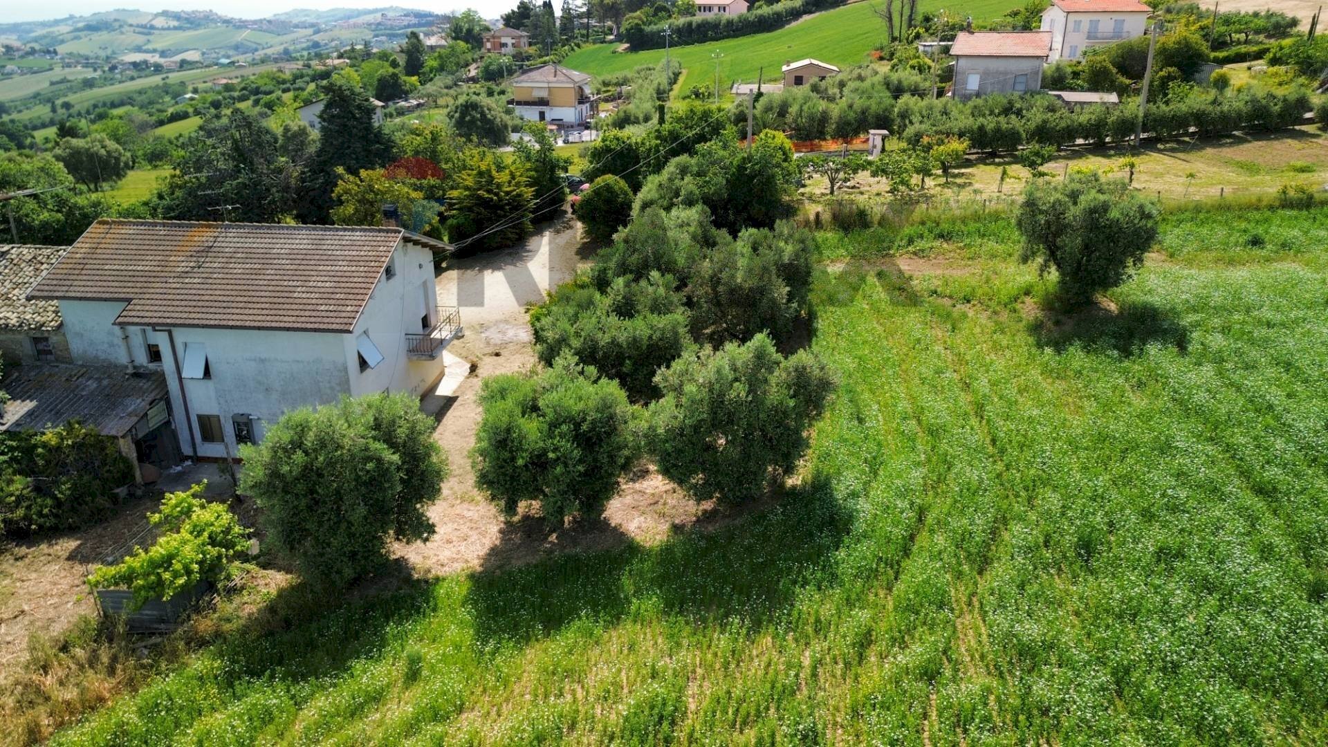 Giardino - Semi-detached house Contrada Bore Di Tenna
 
50, Fermo - photo 3