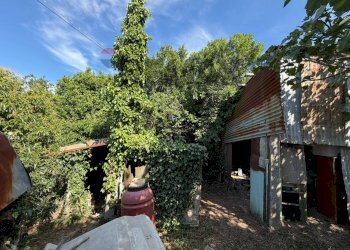 Giardino - Semi-detached house Contrada Bore Di Tenna
 
50, Fermo - photo 12
