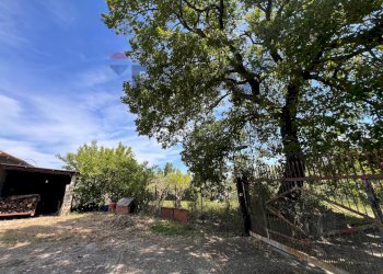 Giardino - Independent house C/da Pescare
 
snc, Fragneto Monforte - photo 31
