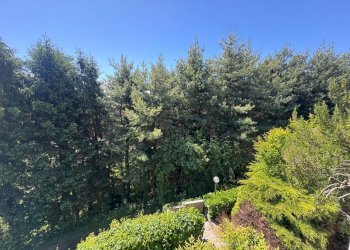 Foto 7 - Villa via di vagno
 
69, Gallarate - foto 7