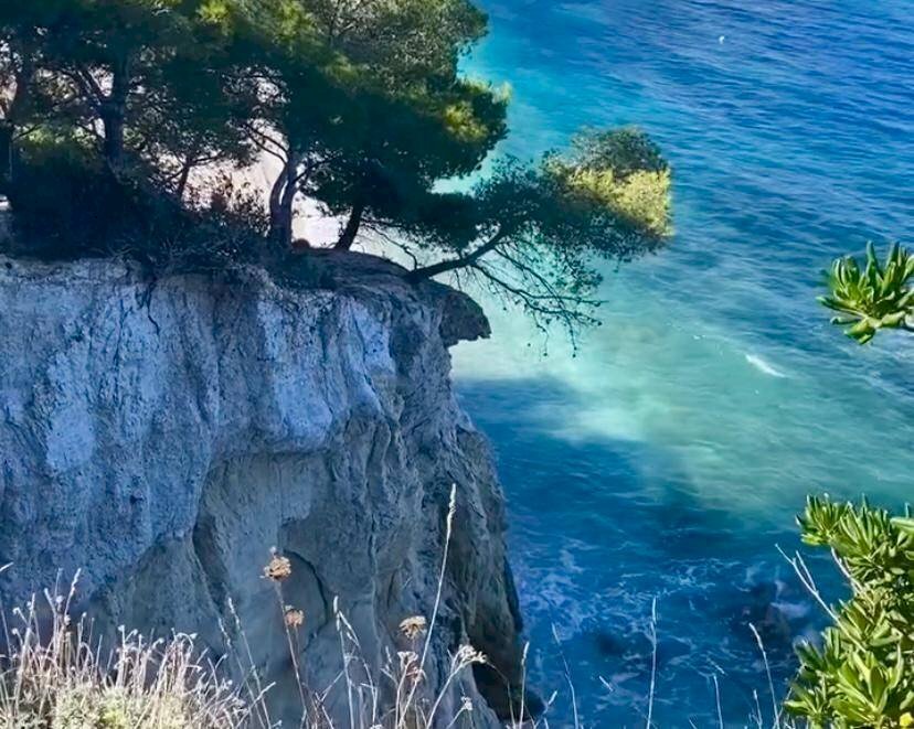 Foto 2 - Villa a Schiera Portoferraio - foto 2