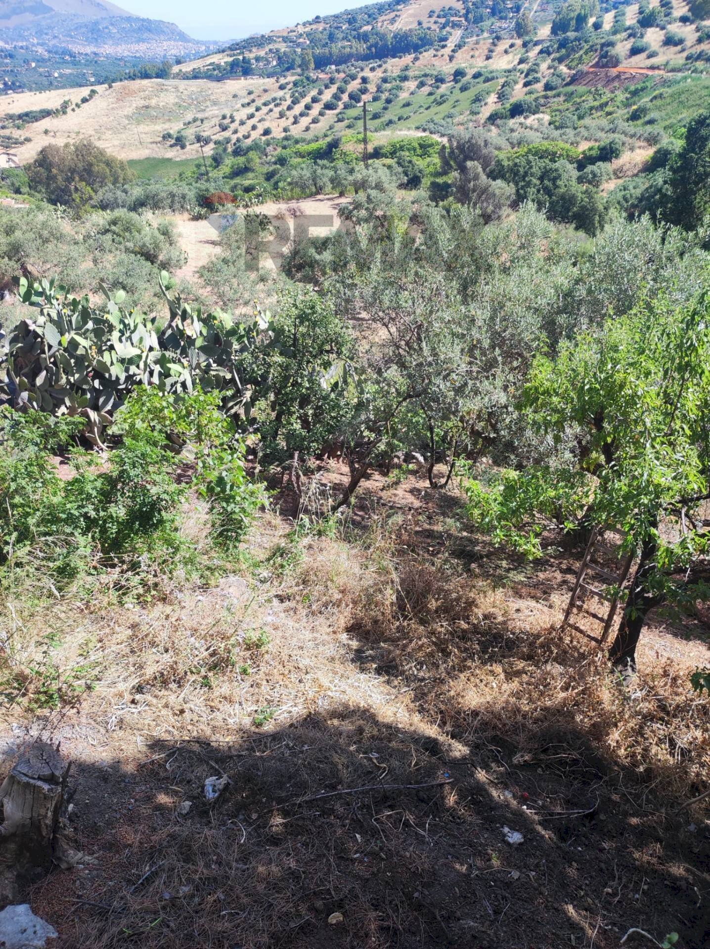 Vista delle montagne - Villa contrada balistreri
19, Misilmeri - photo 3