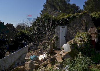 Giardino - Rustico CONTRADA PRATO, Ragusa - foto 5