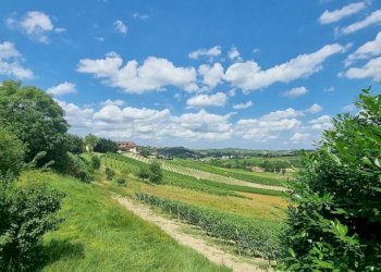 Vista - Rustic Costigliole d'Asti - photo 5