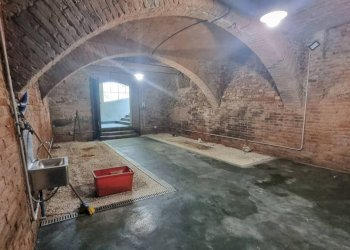 Cantina - Rustic Costigliole d'Asti - photo 29