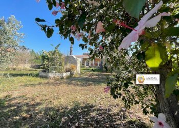 giardino - Villa Strada Spinagallo
 
sn, Siracusa - foto 40